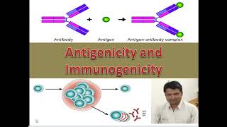 SET NET LIFE SCIENCES Antigenicity and Immunogenicity [upl. by Goat]