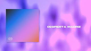 DESPIERTA MADRIZ  LUAN x GYOTA Visualizer [upl. by Emmy]