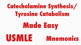 Catecholamine Synthesis Tyrosine Catabolism USMLE Mnemonics [upl. by Araik580]