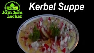 Kerbelsuppe mit Radischen [upl. by Hairahcez]