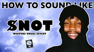 How to Sound Like NOT  quotWhipskiquot Vocal Effect [upl. by Ayekram986]