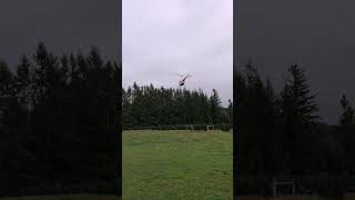 R44 Helicopter Flying Christmas Trees 2023 Part 11 [upl. by Johiah372]