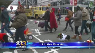 The Barkus Parade Takes Little Rock [upl. by Ganny894]