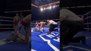 Ringside KO View 🧨 Campbell Hatton Lands Huge Bodyshot Shorts [upl. by Bouton]