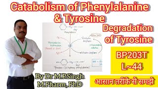 Catabolism of Phenylalanine amp Tyrosine  Degradation of Tyrosine  Biochemistry  BP203T  L44 [upl. by Bev]