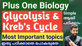 Glycolysis amp Krebs Cycle  Respiration Plus one Biology Most Important Topics [upl. by Yvon]