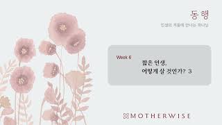 마더와이즈 동행 6과 Part 3 [upl. by Pavier]