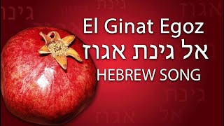 El Ginat Egoz  אל גינת אגוז  hebrew song traditional  Song of Songs  Hohelied [upl. by Gilbart51]