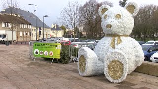 Yvelines  Le broyage de sapins  un geste écologique [upl. by Thilde]