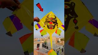 MODIFIED PATANG Kite 🤩 shorts pkcrazyexperiments [upl. by Lorain451]