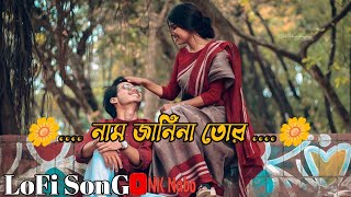 Naam Jaani Na Tor 🍁  Slowed Reverb   নাম জানিনা তোর  🍁 [upl. by Fotina]