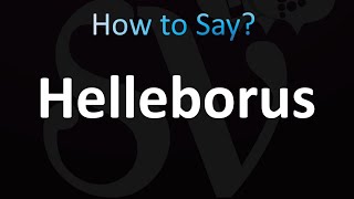 How to Pronounce Helleborus CORRECTLY [upl. by Atteiluj]