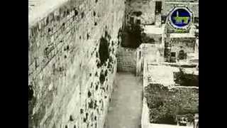 The Story Of The Holy Mosque The Prophets Mosque and The Masjid Al Aqsa [upl. by Latnahc]