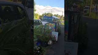 4K Nimbin Pueblo Hippie En Australia [upl. by Klara]