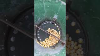 Maize farming in zambia [upl. by Akima66]