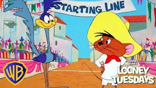 Looney Tuesdays  ​Road Runner Vs Speedy Gonzales  wbkids​ [upl. by Naol]