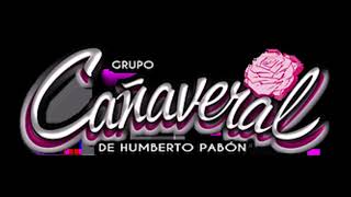 Tiene Espinas el Rosal 🌹 Grupo Cañaveral [upl. by Marquez755]