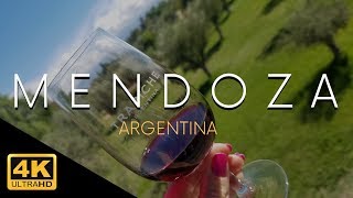 Mendoza Argentina City amp Wineries 4k [upl. by Acitel888]