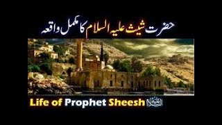 Hazrat Sheesh AS ki Kahani  Quranic Story in Urdu  MHSASS I [upl. by Adnaral488]