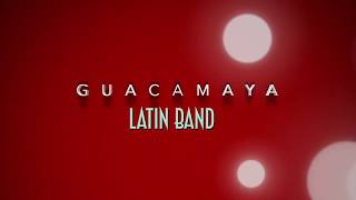 Despacito cover  Guacamaya Latin Band UK [upl. by Inalawi]