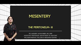 Mesentery [upl. by Mehelhteb]