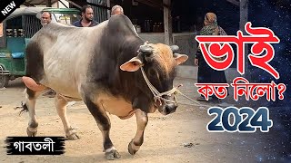 Bhai Koto Nilo Paragram Hozrotpur Gorur Haat 2024  Part 09  Qurbani Cow Price in Bangladesh [upl. by Vories]