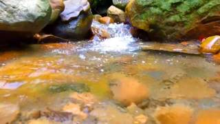 10 Hours of Babbling Brook Creek Sounds Water Stream  Relaxing Nature Sounds  Study Deep Sleep [upl. by Marduk744]