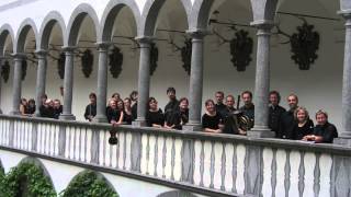 Wolfgang Amadeus Mozart Divertimento FDur KV 138 [upl. by Eylrahc224]