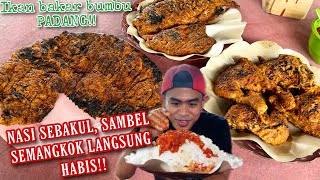 MUKBANG 2 IKAN BAKAR 4 AYAM BAKAR PADANG  NASI SEBAKUL  CABE SEMANGKOK HABIS [upl. by Amando985]