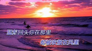 大海 张雨生 （KTV伴奏版） [upl. by Asquith]