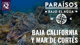 Baja California y Mar de Cortés [upl. by Schofield]