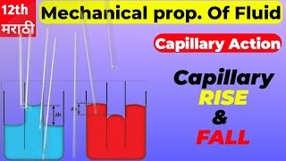 Capillary Action capillaries capillaryaction [upl. by Swirsky]