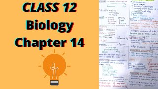 Class 12 Biology Chapter 14 Ecosystem Handwritten Notes [upl. by Tatum]