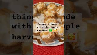 Homemade Mini Apple Pies from My Backyard Apples 🍏  Quick amp Easy Bake [upl. by Litch]