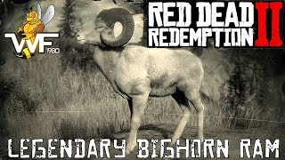 Red Dead Redemption 2 How To Find Kill amp Sell The Legendary Big Horn [upl. by Yelnik]