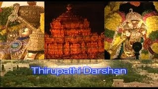 Tirupati Darshan I A Pilgrimage to Tirumala During Brahmotsavam [upl. by Onaimad328]