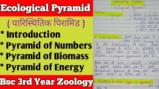 Ecological Pyramid in Hindi Bsc 3r Year  पारिस्थितिक पिरामिड [upl. by Devan]