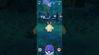 Shiny sentretpopularpokemonshinypokemontrendingpokemongoshortsviralvideogaminglike [upl. by Dewayne]