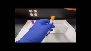 Aliquot Tubes and Specimen Processing [upl. by Ramad]