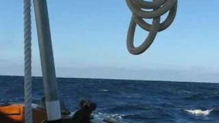 Bristol Channel Cutter speed [upl. by Goldenberg630]