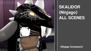 Every Single Skalidor Scene in Ninjago Ninjago Scenepacks [upl. by Flanagan72]