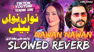 Nawan Nawan Beli Wajid Ali Baghdadi  SLOWED  REVERB  New Latest Saraiki Song 2024 [upl. by Acir]