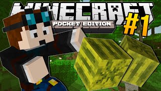 Minecraft Pocket Edition  MELON JUNGLE  1 [upl. by Bale]