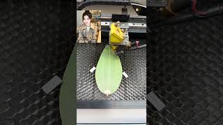 leaf painting production processleaf engraving machineleaf carving [upl. by Notliw]