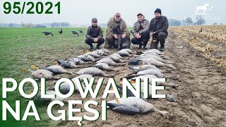 SUDECKA OSTOJA 952021 Polowanie na gęsi Calling goose Hunting Gosse Chasse aux Oies [upl. by Geraldina]