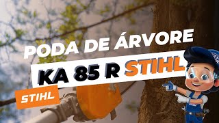 Poda de árvore com KA 85R STIHL ✂🌲👨‍🌾✨ ferpam podador passoapasso stihl podaa [upl. by Nalyk]