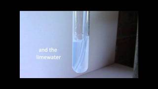 Decomposition of Copper Carbonate [upl. by Feledy]