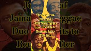 The Maytones  Journey of Jamaicas Reggae Duo from Hits to Reunion After 1980 Split reggae [upl. by Nauqyt]