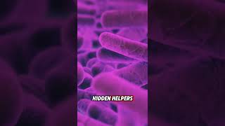 The Hidden World of Microbes shorts short [upl. by Derrick]