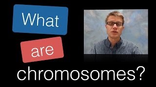 What are Chromosomes [upl. by Evey]